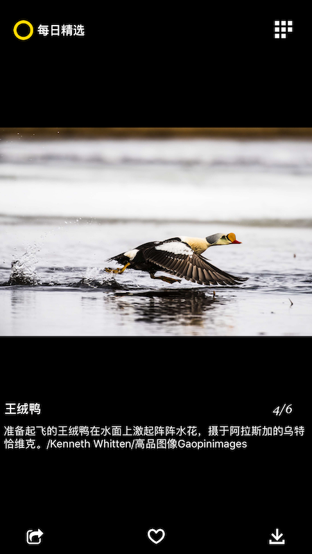 每日精选 2.6.3 安卓版 3