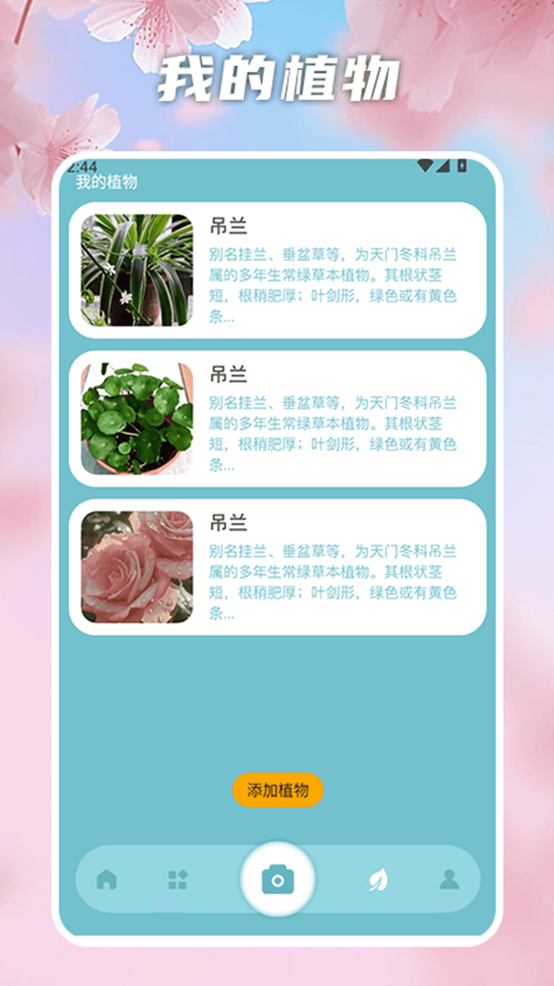 花开物语识别 1.3 安卓版 2