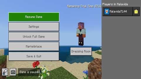 Minecraft v1.21.131.1 安卓版 1
