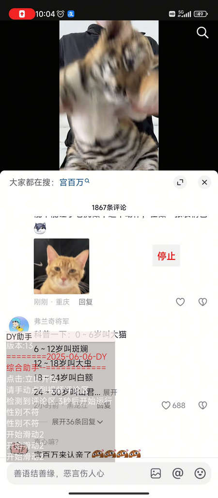 DY综合助手