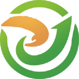 中翼电动