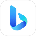 newbing
