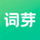 词芽单词