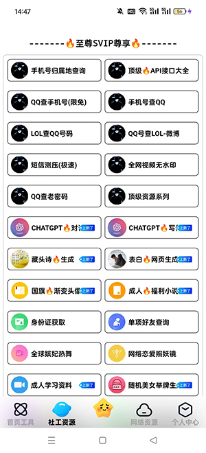 网络阁 SVIP8.68 最新版 2