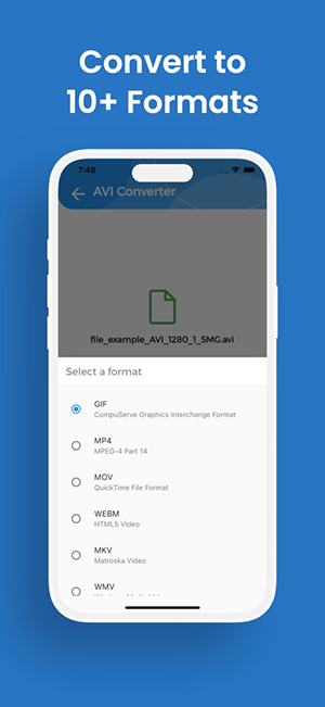 AVIConverter 1.0.0 安卓版 3