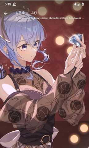 Boorusphere v1.4.5 安卓版 1