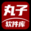 丸子软件库下载安装-丸子软件库官方最新版