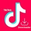 TikTokDownloader官方下载-tiktok下载器app
