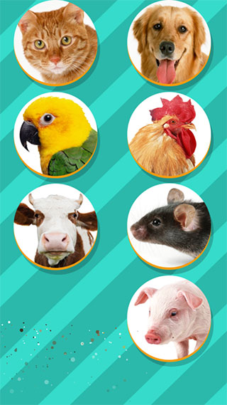 Pet Translator v1.1 最新版 4