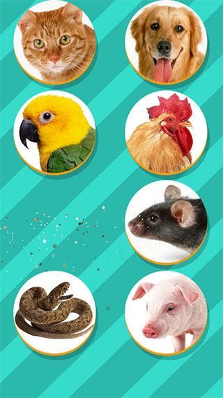 Pet Translator v1.1 最新版 3