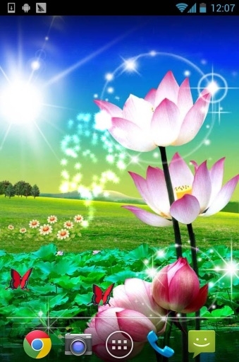荷花壁纸 1.1 安卓版 3