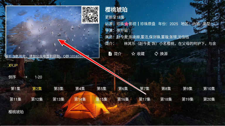 夜猫子4k tv版最新版