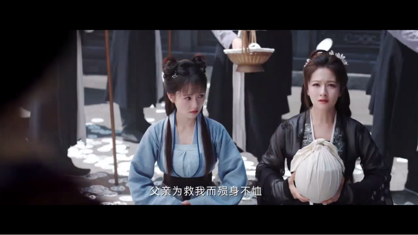 翠花影视tv版最新版