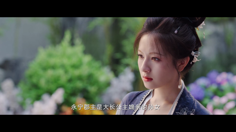 皓月影仓tv版官方版