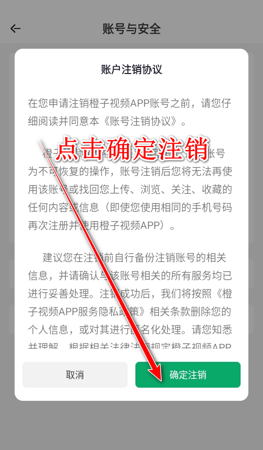 橙子视频app