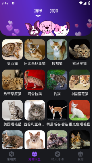 最全免费铃声 1.0.0 安卓版 2