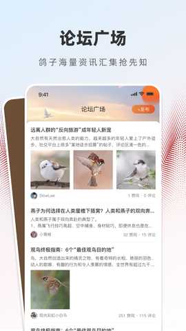 赏鸽缘 1.0.2 安卓版 1