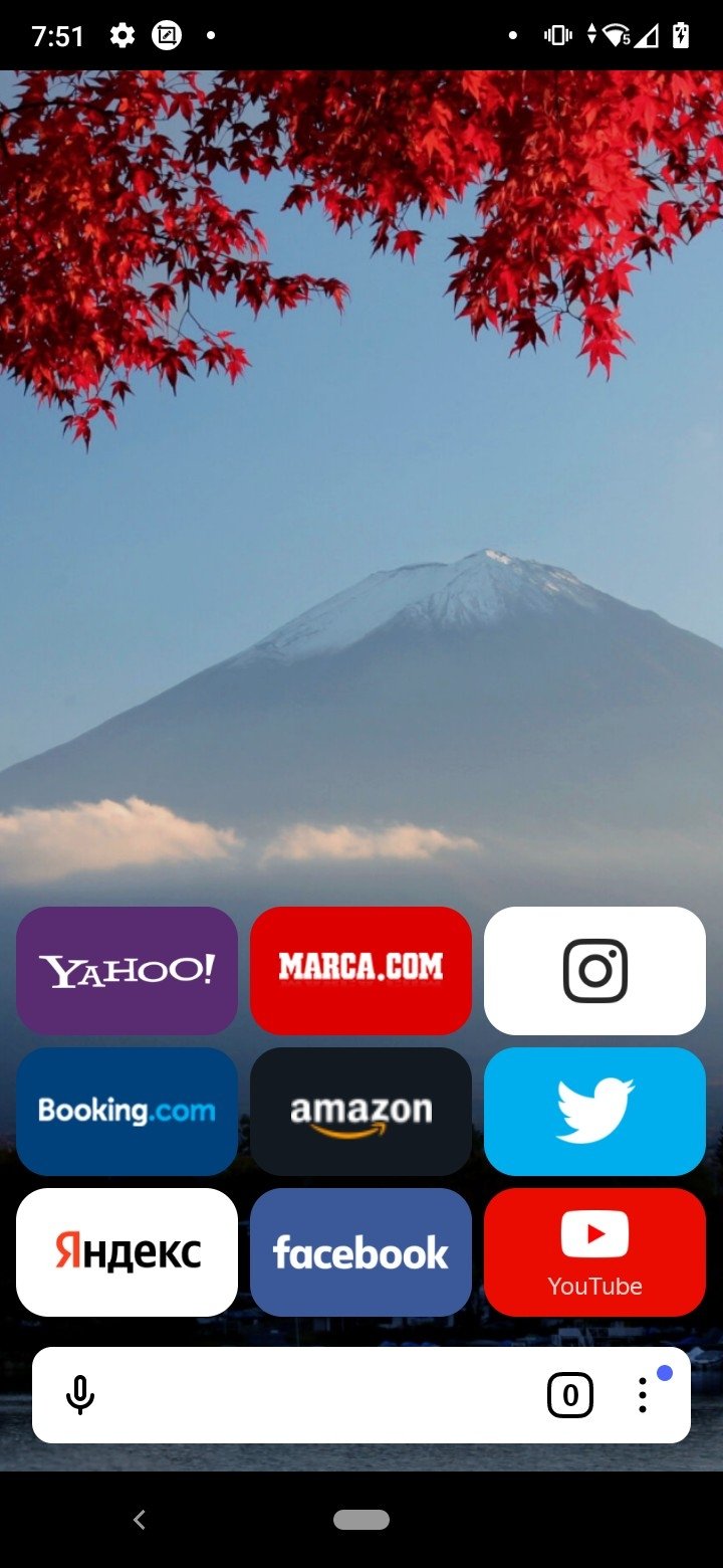 YandexBrowser 25.6.6.52 安卓版 2