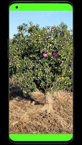 FruitAI 1.0.0 安卓版 2