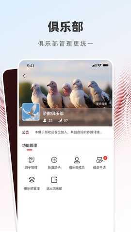 赏鸽缘 1.0.2 安卓版 3