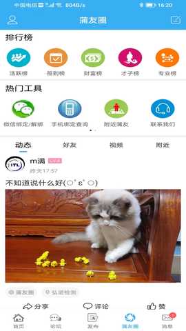 蒲公英 3.3.0 安卓版 3