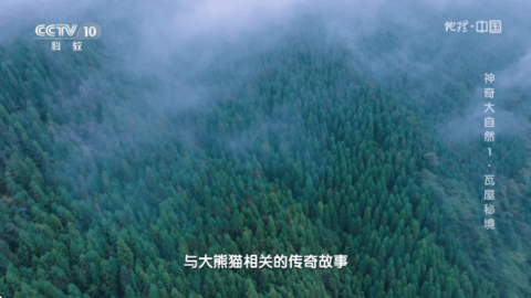 现代TV直播 5.2.0 安卓版 2