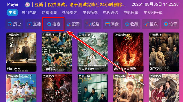 Player电视版官方版