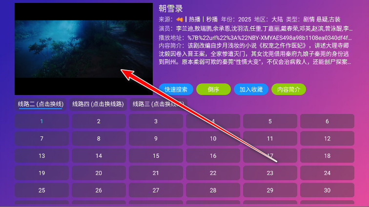 Player电视版官方版
