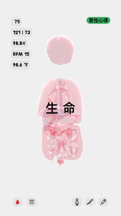 生命人体模拟器life汉化版 1.0 安卓版 2