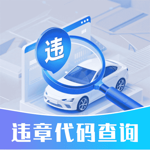 驾驶违章代码查询