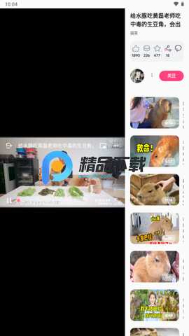 BiliLite Beta2.6 最新版 3