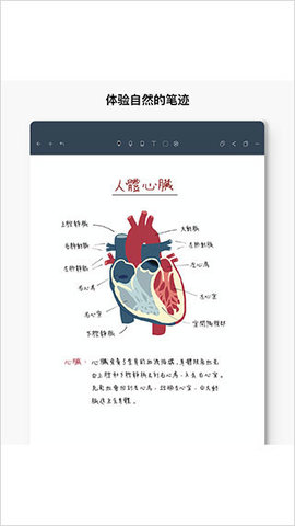 Noteshelf 8.4.2 安卓版 2