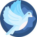 白鸽资源库2025下载-白鸽资源库最新版