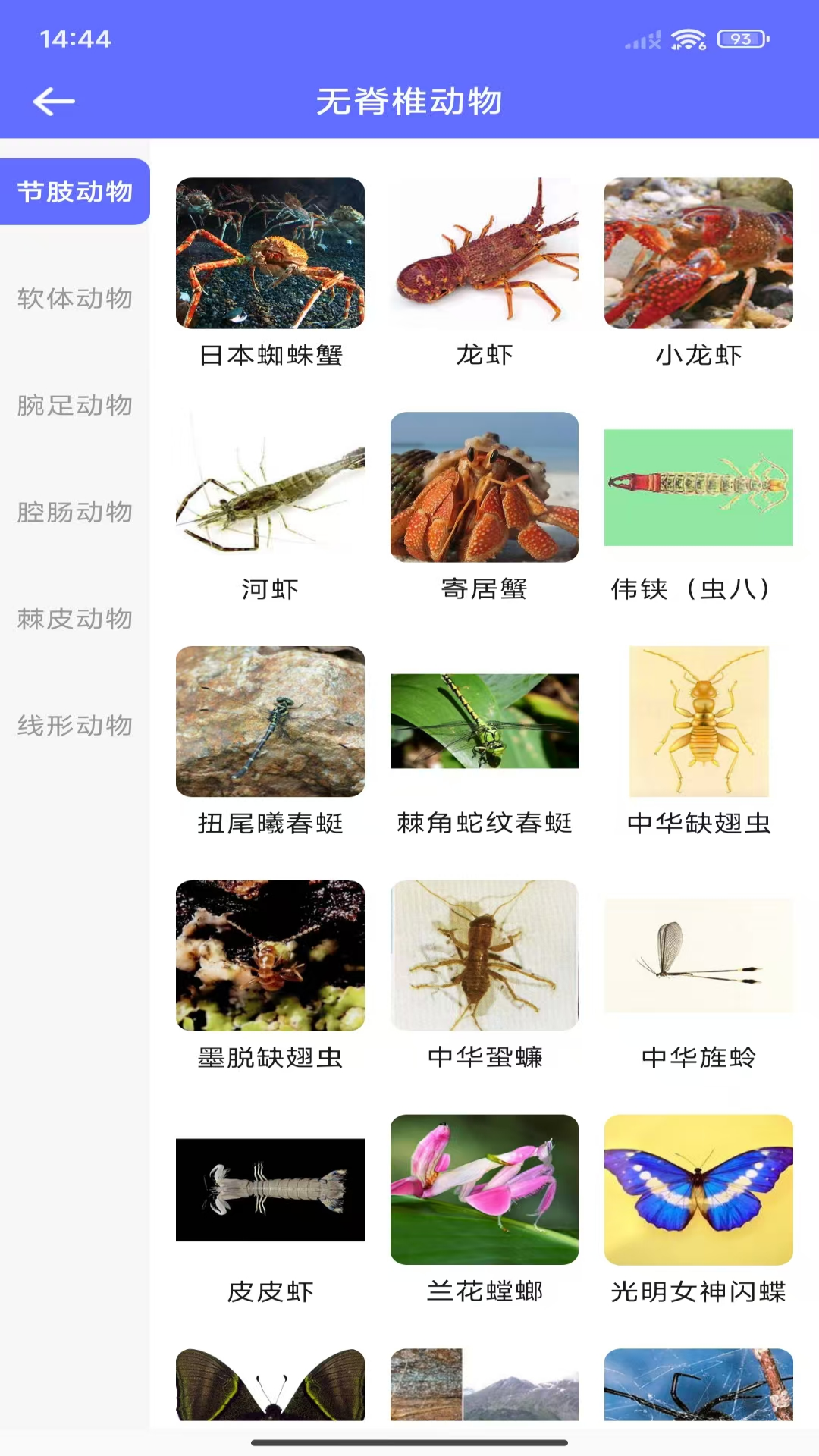 动物拍照识别 1.0.3 最新版 1
