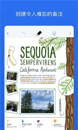 Notability 7.0.0 最新版 2