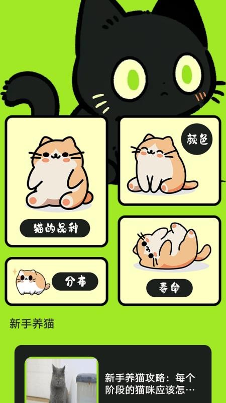 村庄叮叮猫 1.2 官方版 1