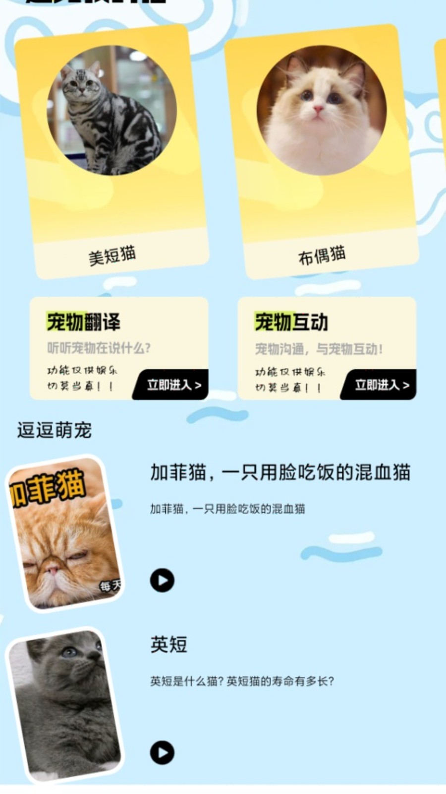 我的猫翻译 1.1 官方版 2