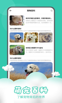猫狗交流器 2.7.5 官方版 3