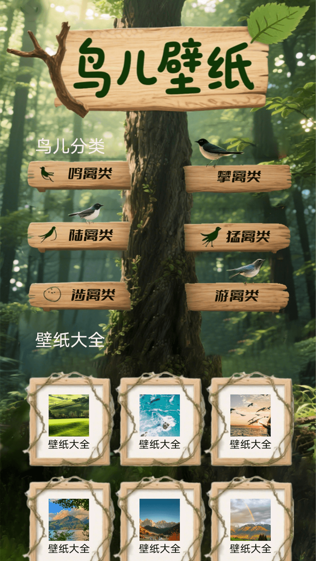 小鸟语翻译器 1.1 安卓版 1