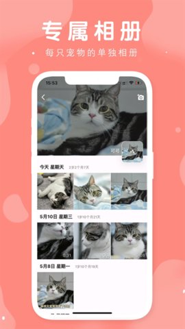 有宠 1.0.4 最新版 2