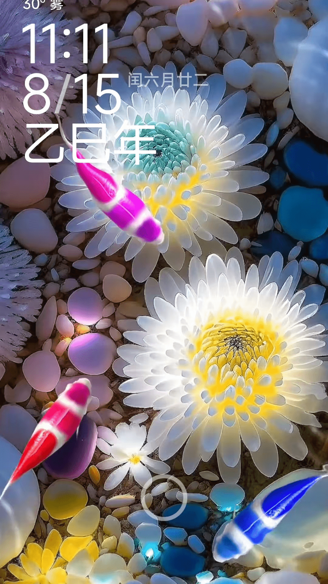荷花锦鲤壁纸 1.0.13 安卓版 2