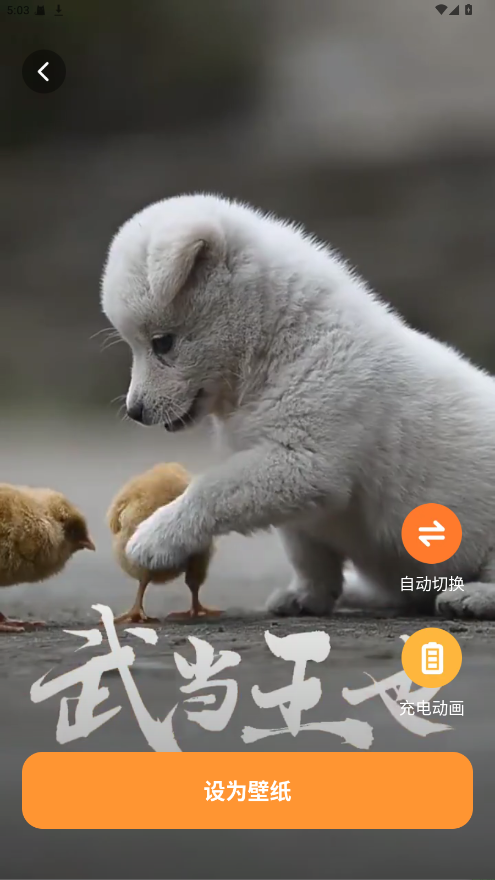 西西壁纸 1.6.0 安卓版 2