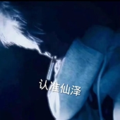 仙泽弱网9.0