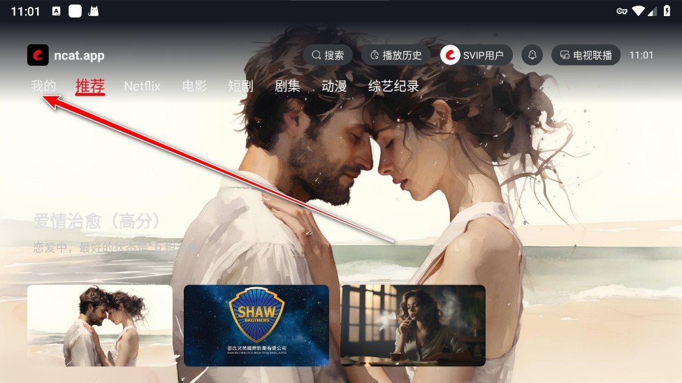 网飞猫TV版2025