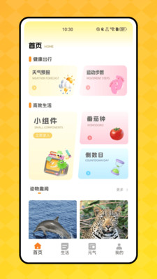 顶萌小组件 1.0.0 官方版 3