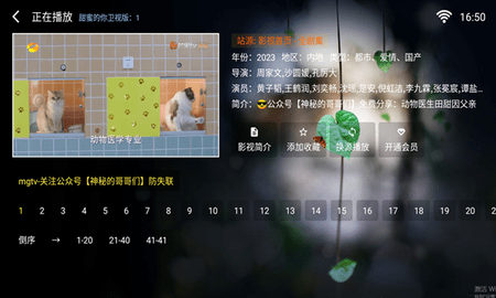 苹果影视 2.1.231210 安卓版 1