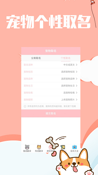撩宠神器 v1.3.2 最新版 3