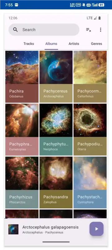 Phocid 20250821 最新版 1