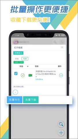 飞鸟下载器 3.96 安卓版 1