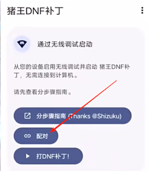 猪王DNF补丁大全官方免费版下载-猪王DNF补丁官方正版下载最新版v1.1.5